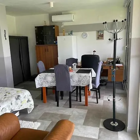 Apartment Eagle's Nest Rijeka